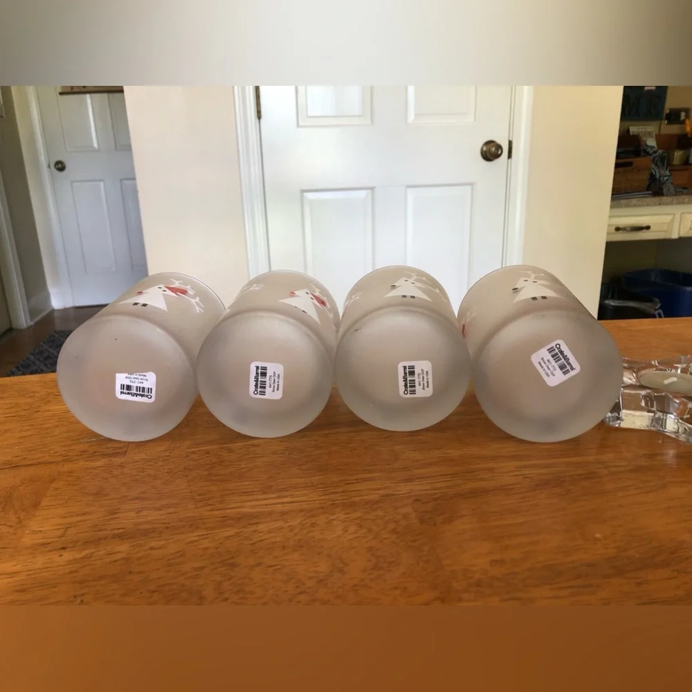 NWT 4 frosted glasses- Crate&Barrel
